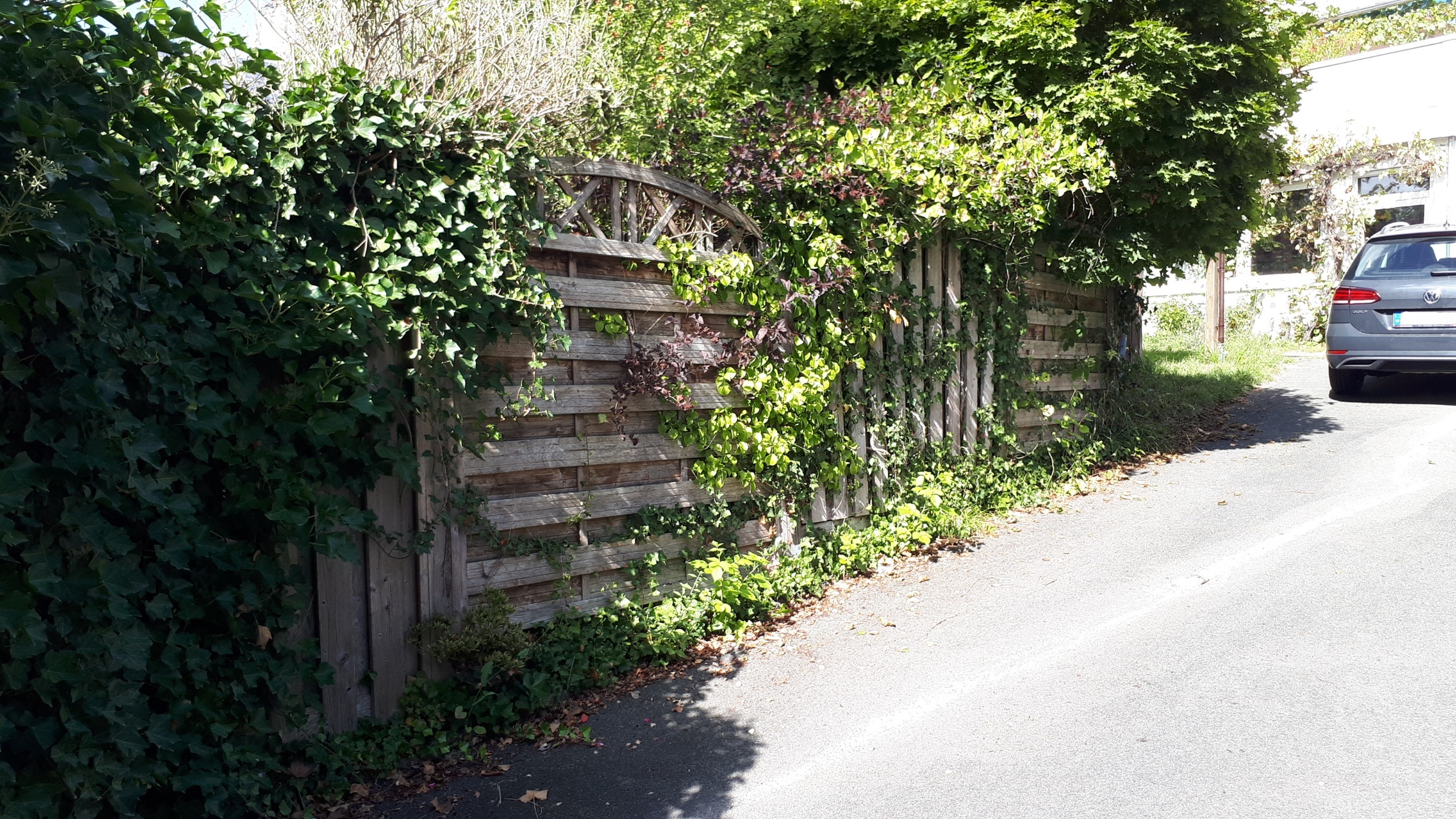 20190918_131249_resized